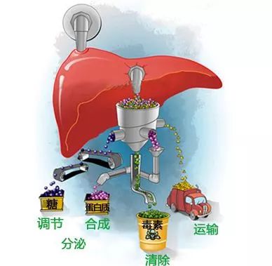 1565155522309284.jpg 微信圖片_20190807132449.jpg